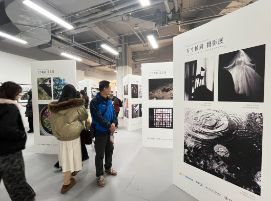 数字媒体艺术专业学子走进“方寸帧间” 在光影中探寻技术与艺术的融合